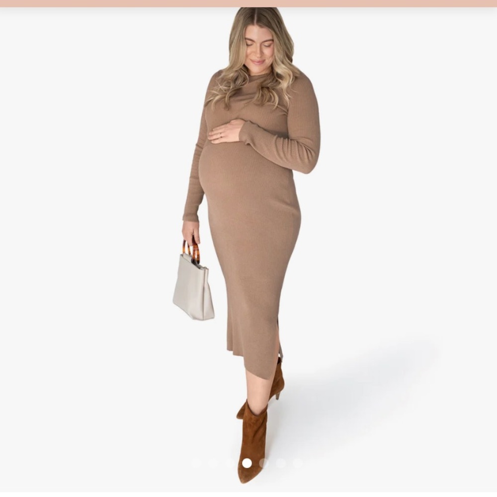 Kindred Bravely Maternity/Nursing Dress